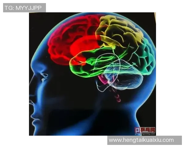 深圳乒乓球队战术解析与未来发展方向的深度探讨