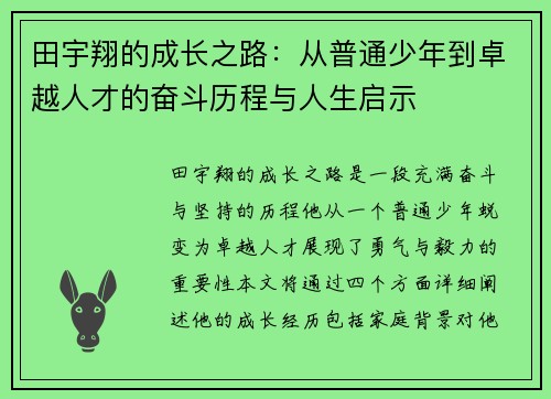田宇翔的成长之路：从普通少年到卓越人才的奋斗历程与人生启示